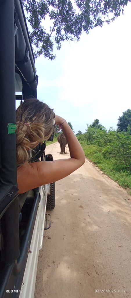 Udawalawe Safari Kingdom