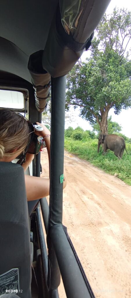 Udawalawe Safari Kingdom