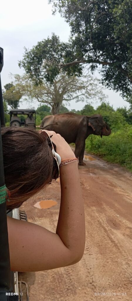 Udawalawe Safari Kingdom